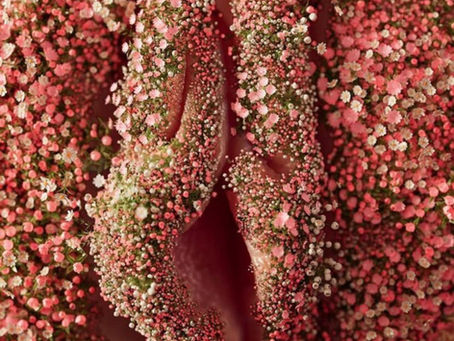 MY TOP 4 VULVA SKINCARE PRODUCTS